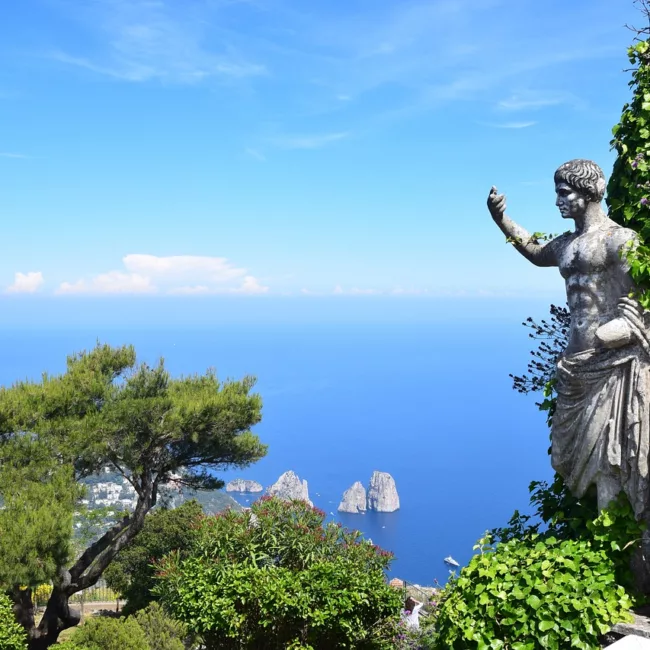 Homy Capri